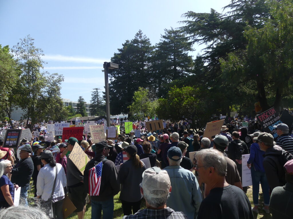 View over large crowd of people holding signs